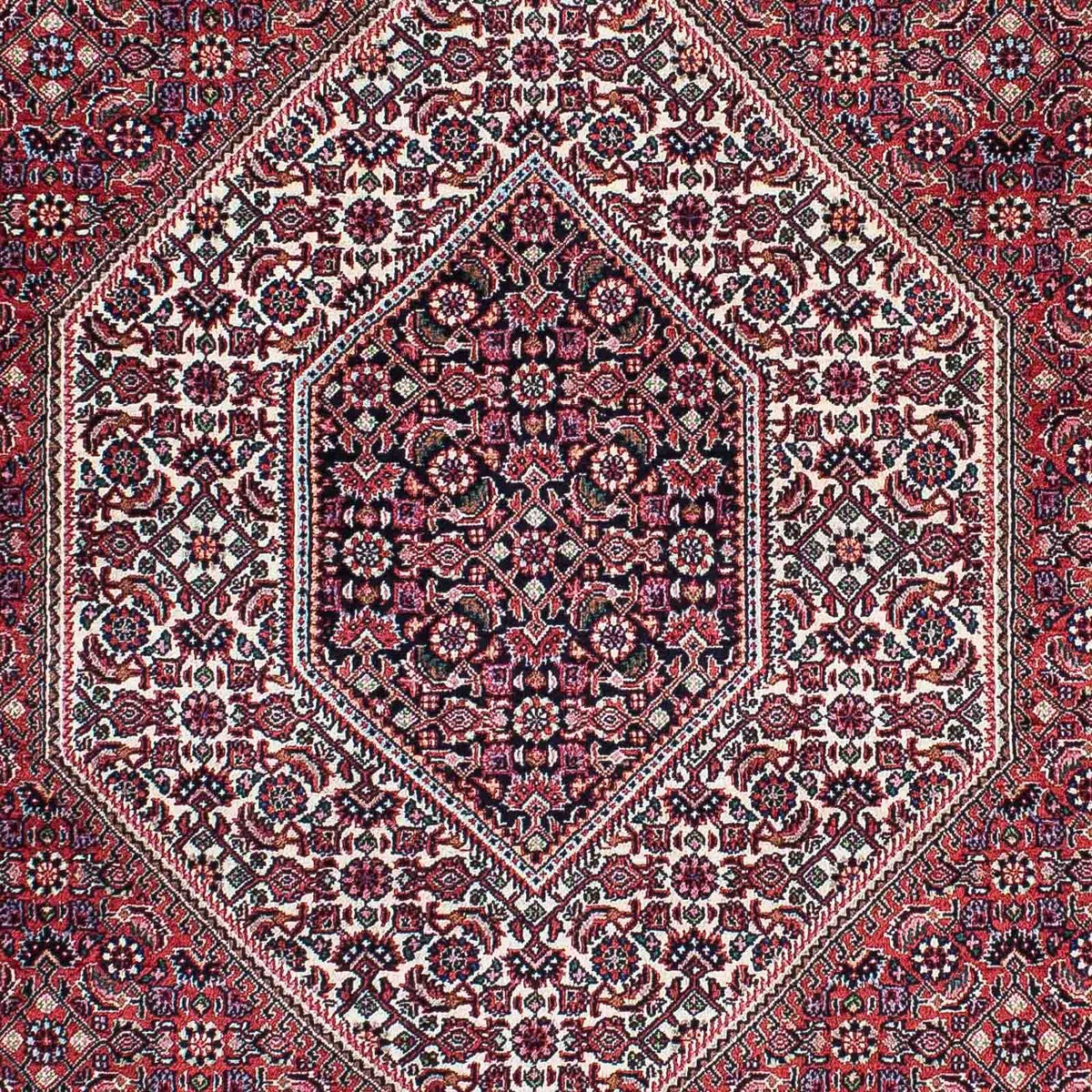 Perser Rug - Bidjar - 205 x 128 cm - light red