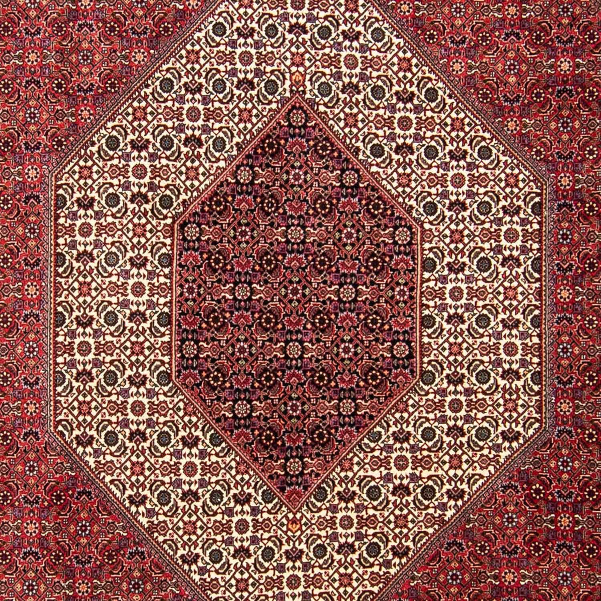 Perser Rug - Bidjar - 304 x 255 cm - dark red