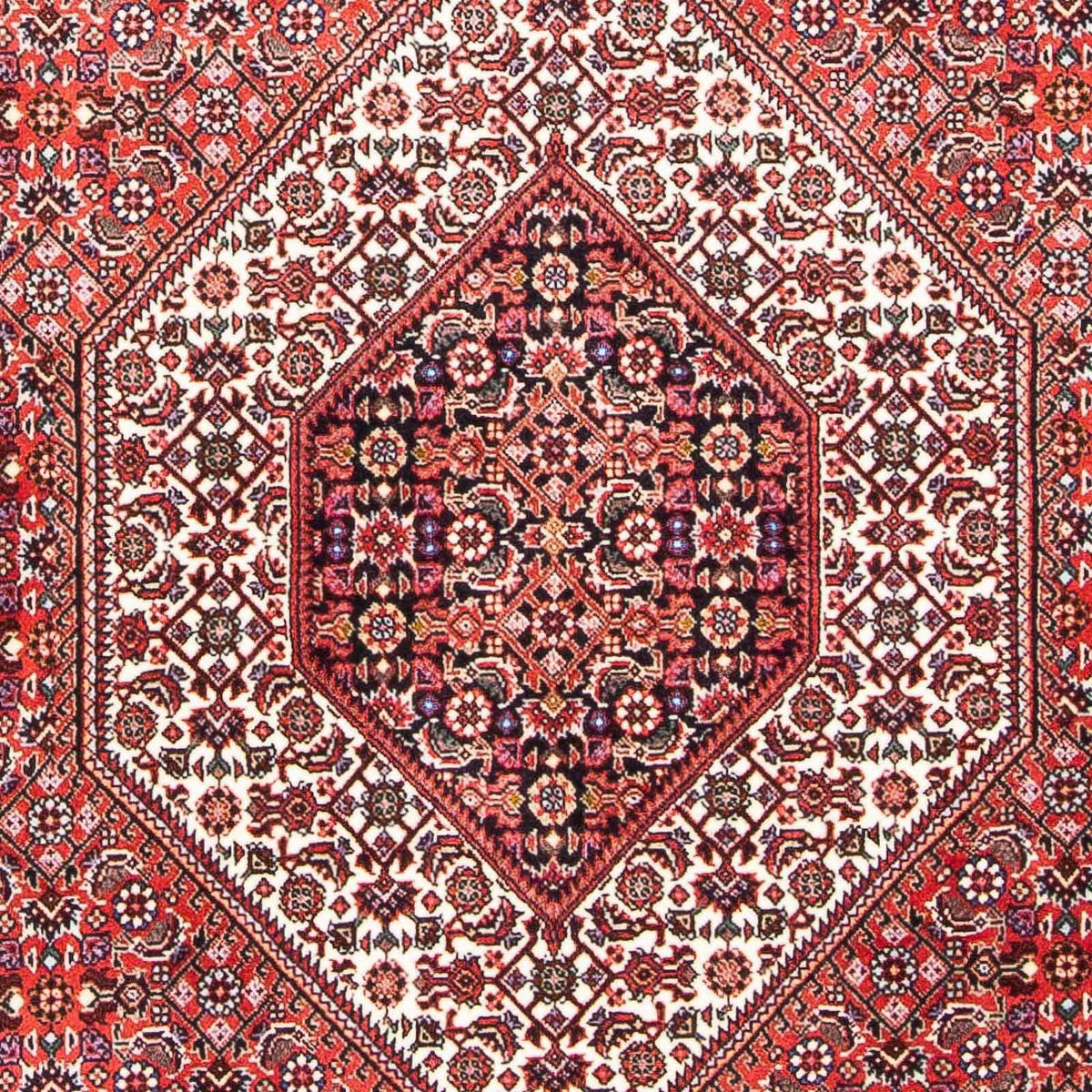 Perser Rug - Bidjar - 180 x 111 cm - light red