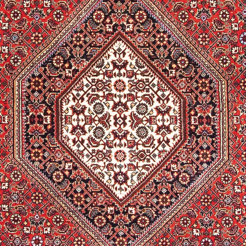 Bidjar Rug 173x112cm - Persian Rugs