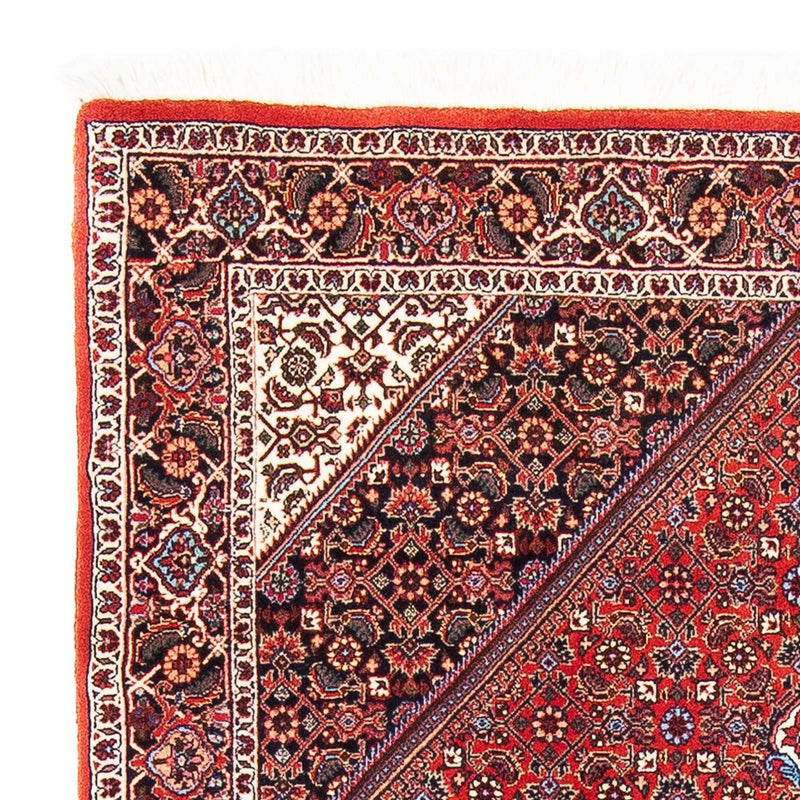 Bidjar Rug 173x112cm - Persian Rugs