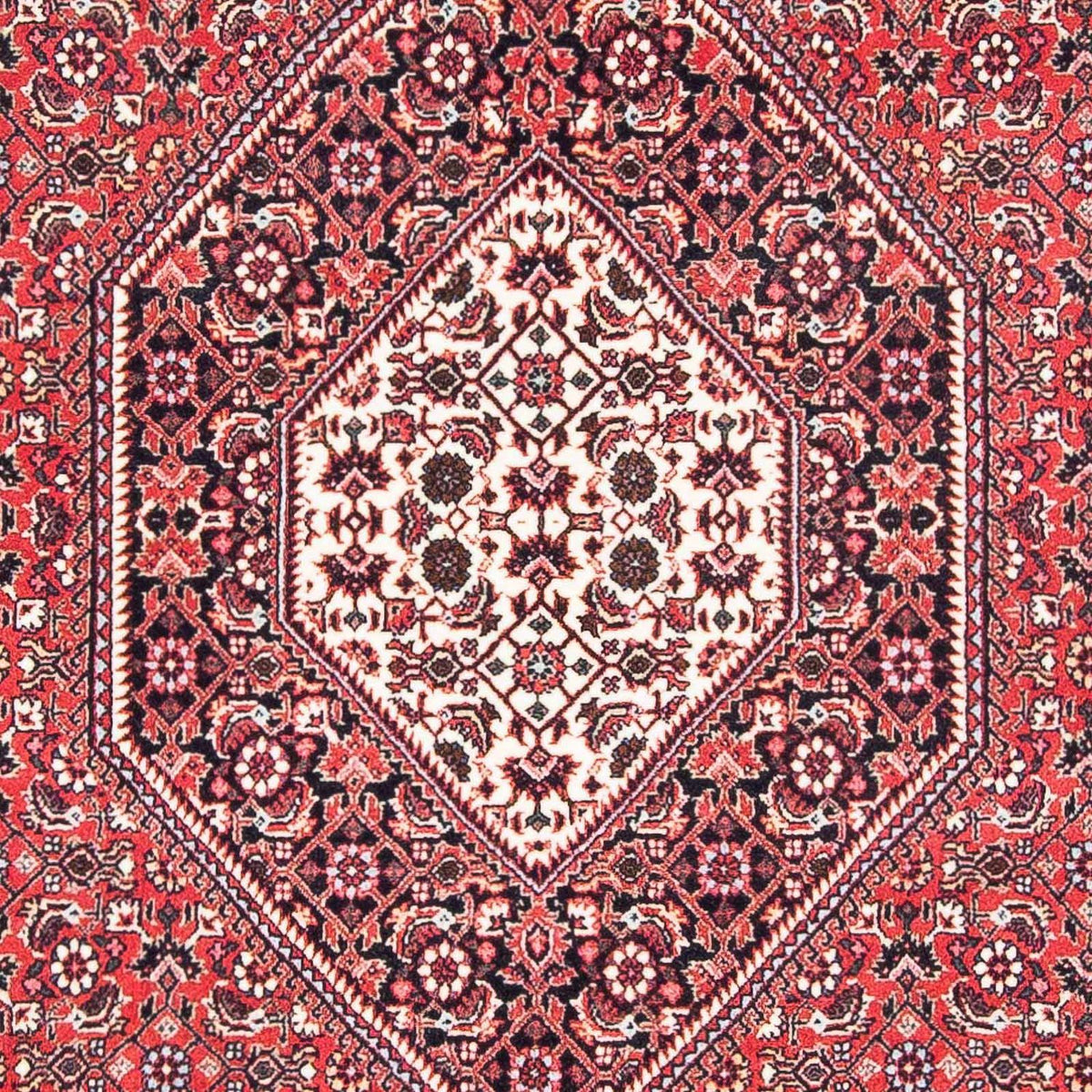 Perser Rug - Bidjar - 185 x 111 cm - light red