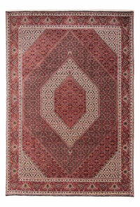 Perser Rug - Bidjar - 353 x 250 cm - red