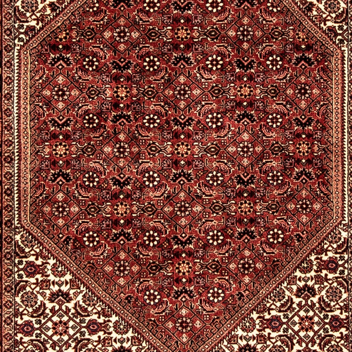 Runner Perser Rug - Bidjar - 281 x 80 cm - multicolored