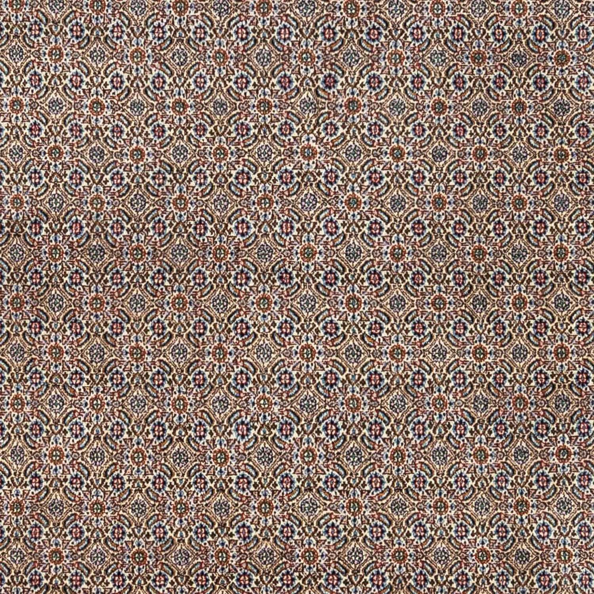 Perser Rug - Classic - 334 x 248 cm - beige