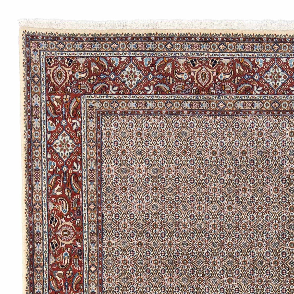 Moud Rug 248x334cm - Persian Rugs