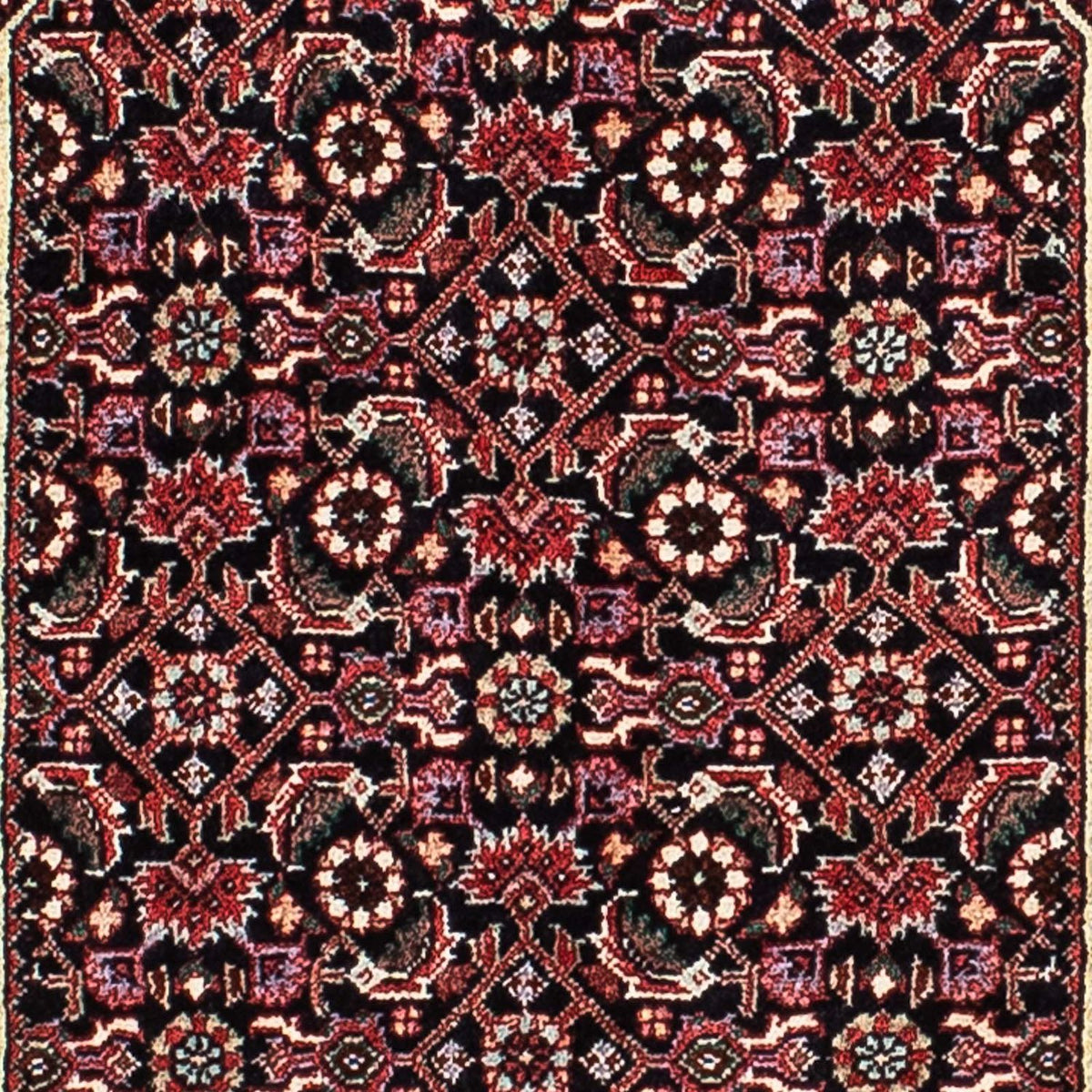 Perser Rug - Bidjar - 205 x 134 cm - multicolored