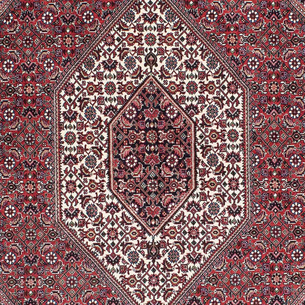 Perser Rug - Bidjar - 208 x 132 cm - light red