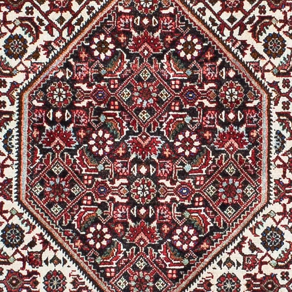 Perser Rug - Bidjar - 208 x 133 cm - light red