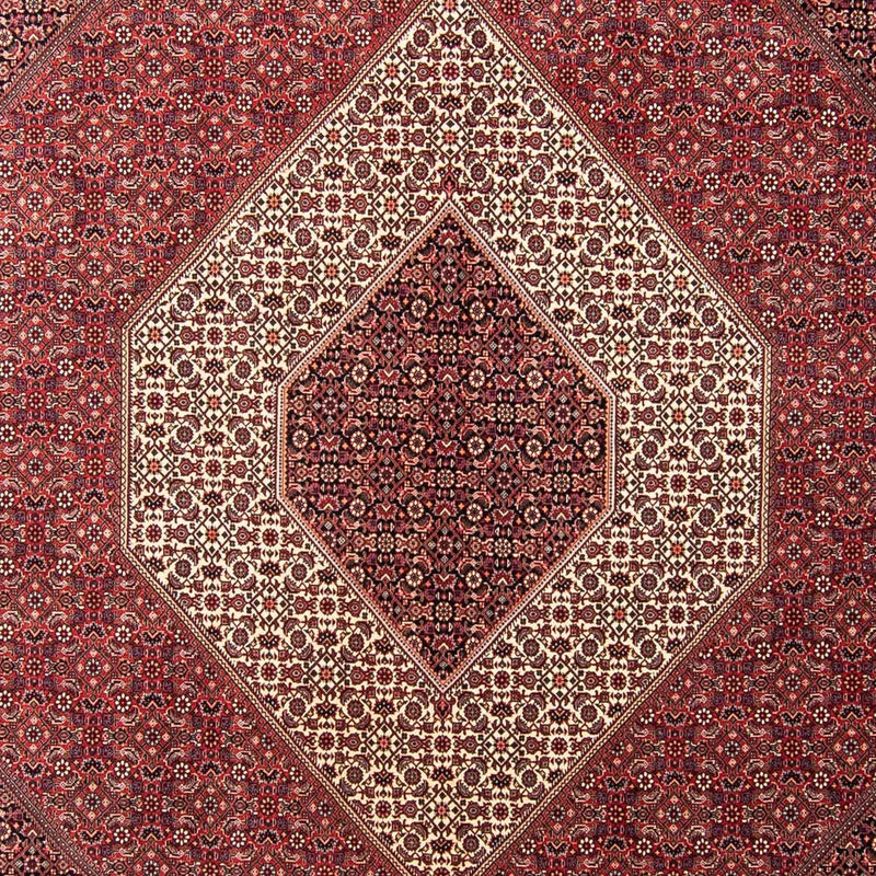 Perser Rug - Bidjar - 350 x 254 cm - red