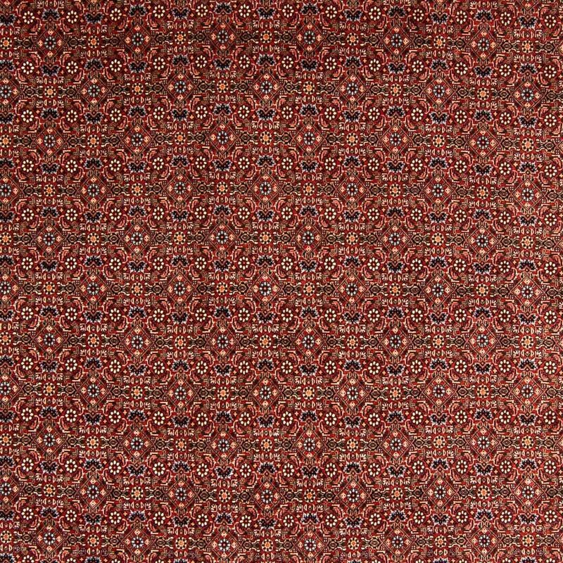 Perser Rug - Bidjar - 340 x 254 cm - dark red