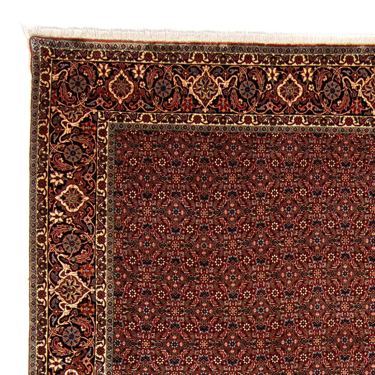 Perser Rug - Bidjar - 340 x 254 cm - dark red