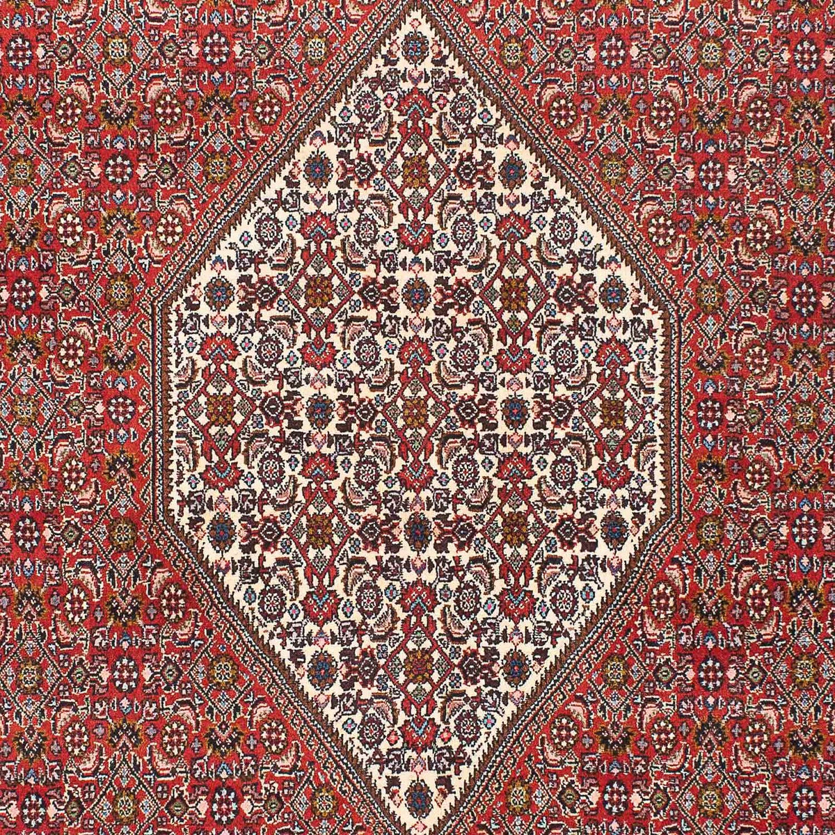 Perser Rug - Bidjar - 225 x 136 cm - red