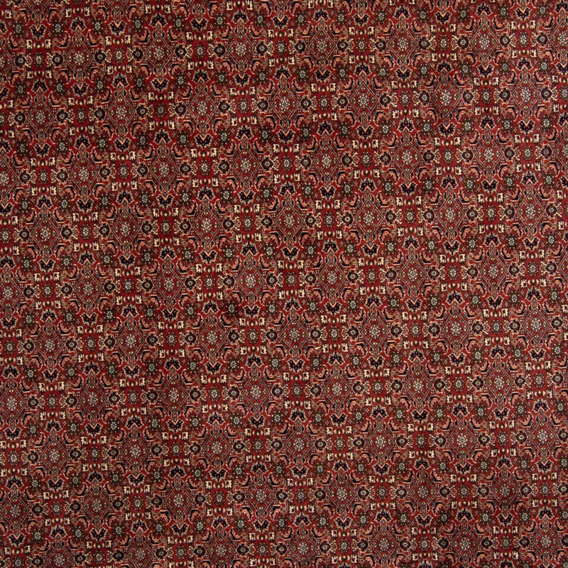 Perser Rug - Bidjar - 342 x 244 cm - brown