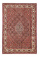 Bidjar Rug 171x246cm - Persian Rugs