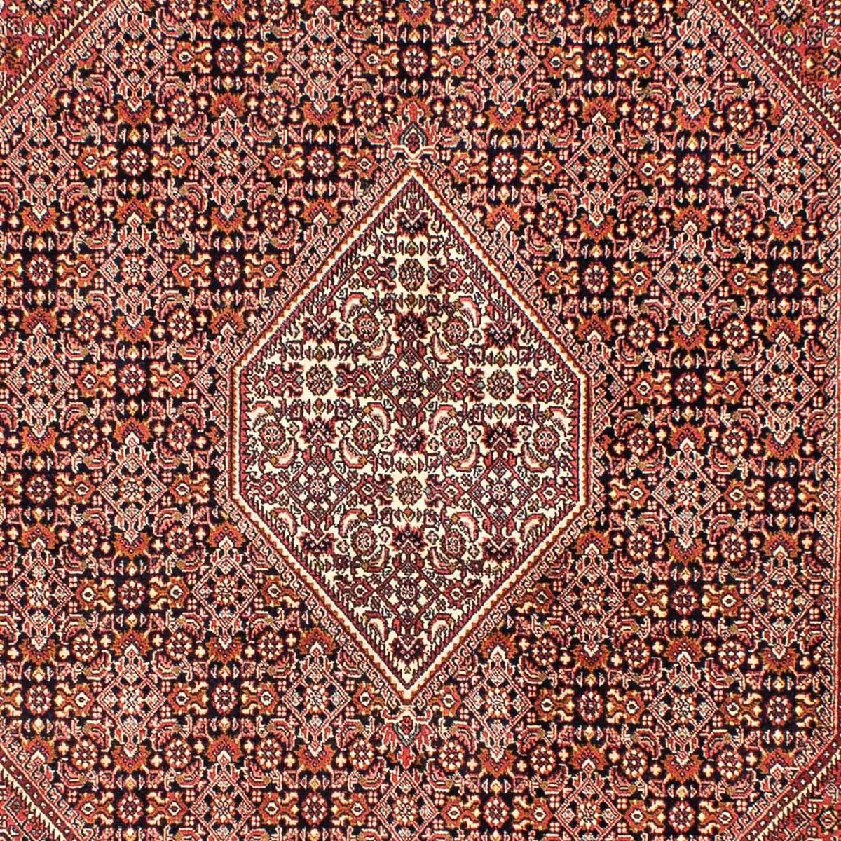 Perser Rug - Bidjar - 246 x 171 cm - light red