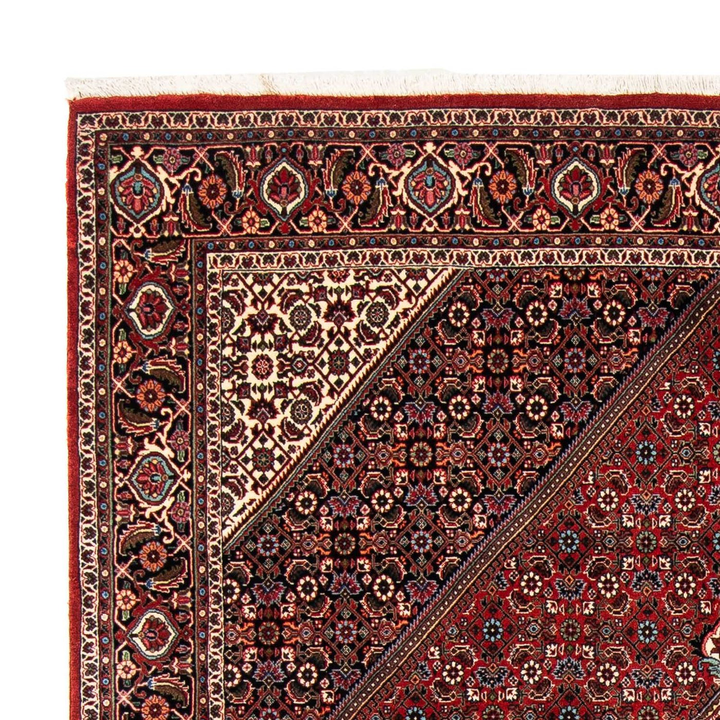 Bidjar Rug 258x169cm - Persian Rugs