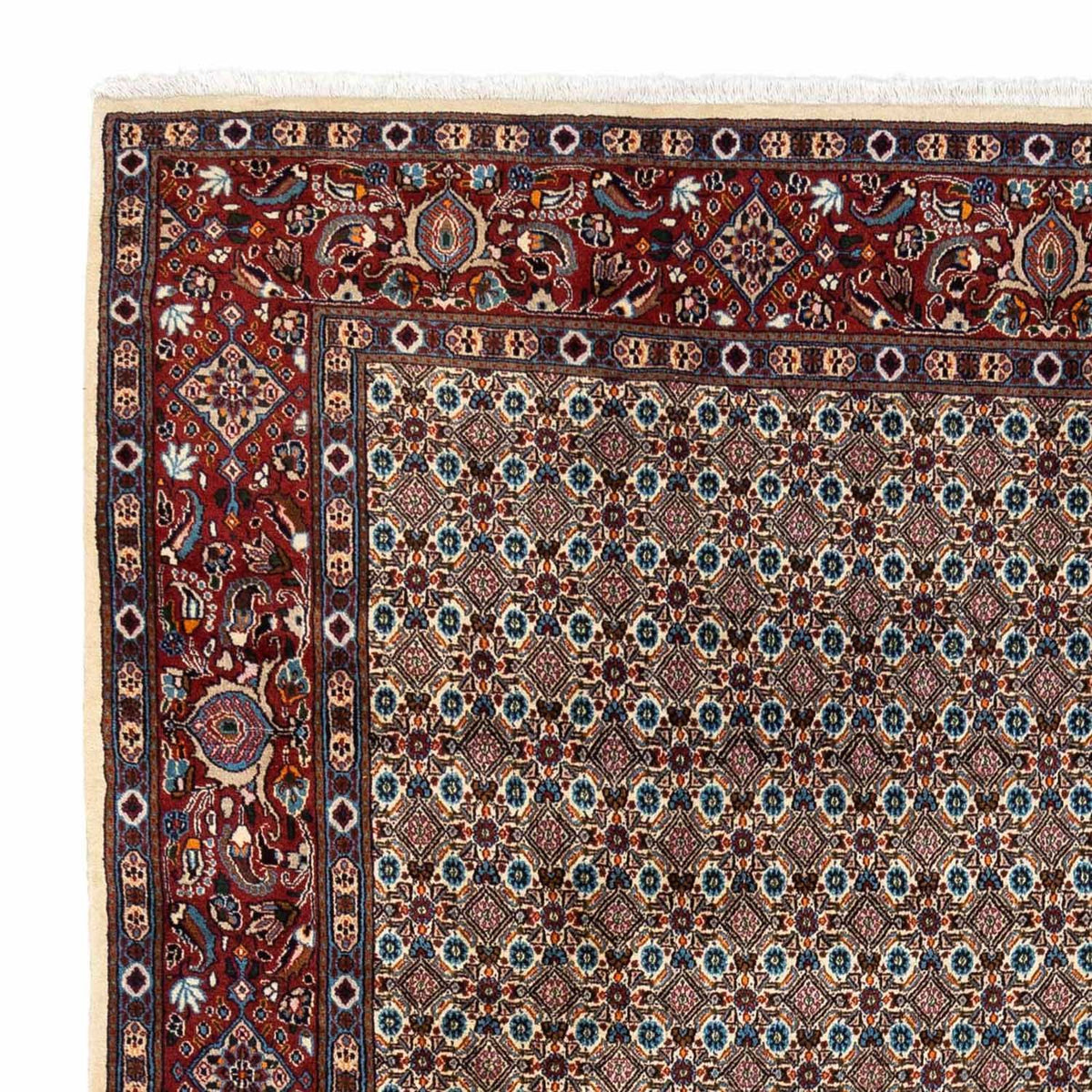 Moud Rug 258x360cm - Persian Rugs