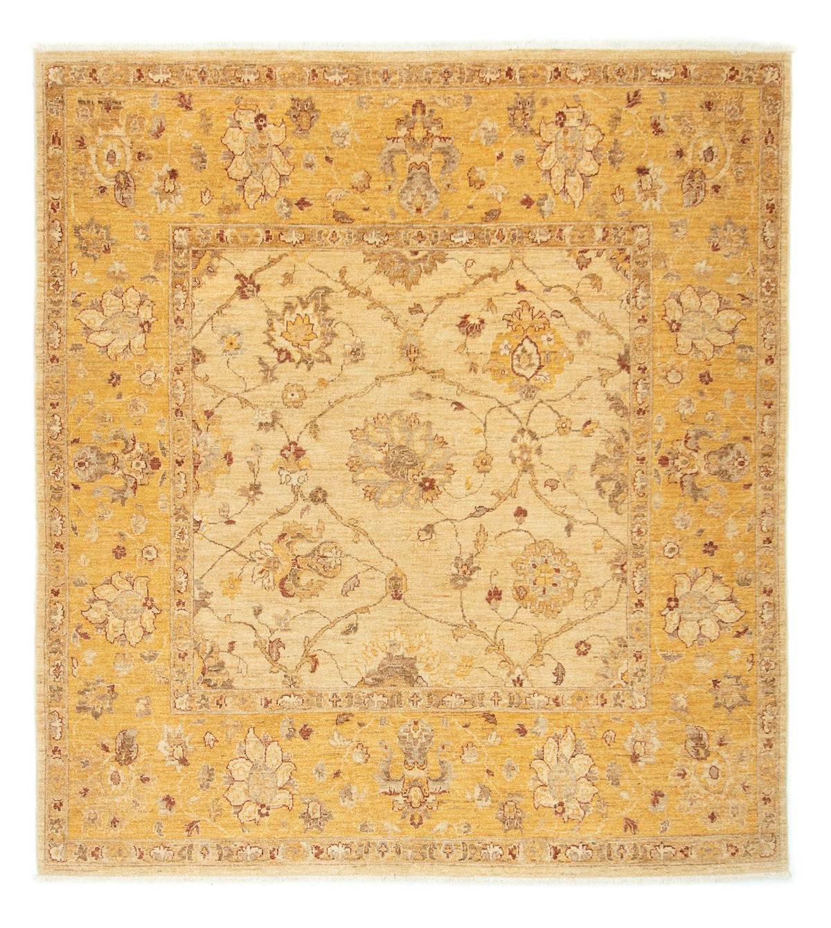 Ziegler Rug square  - 209 x 192 cm - beige