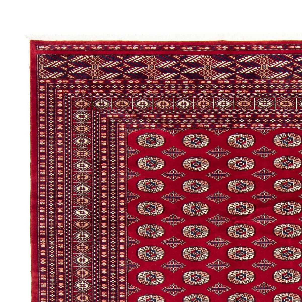 Bukhara Rug 253x303cm - Oriental Rug