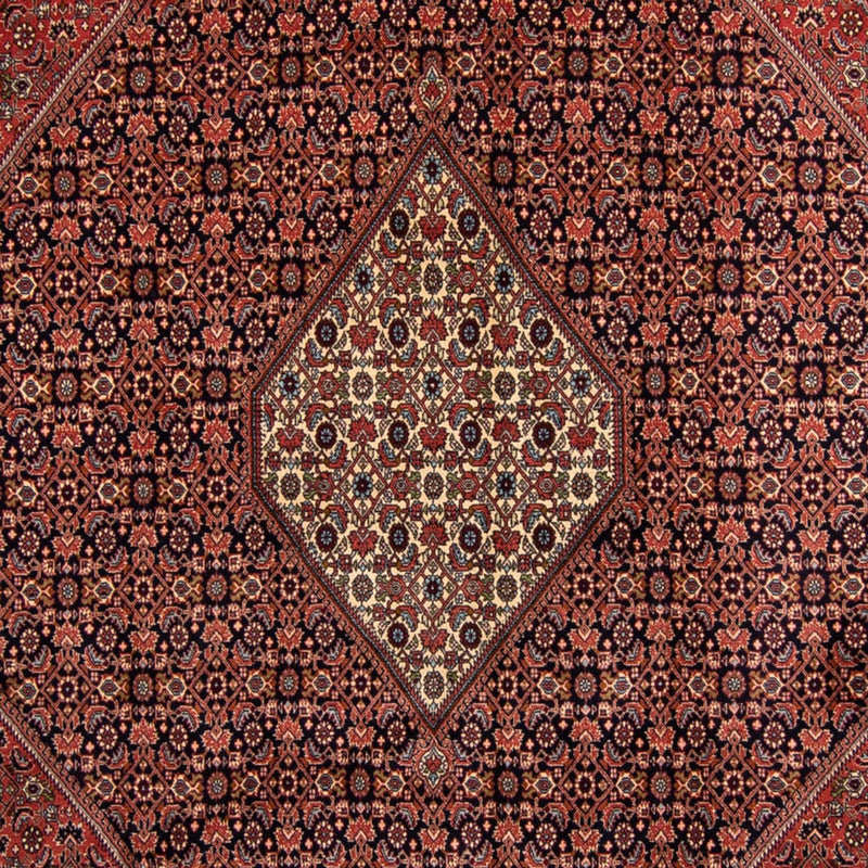 Bidjar Rug 249x350cm - Persian Rugs