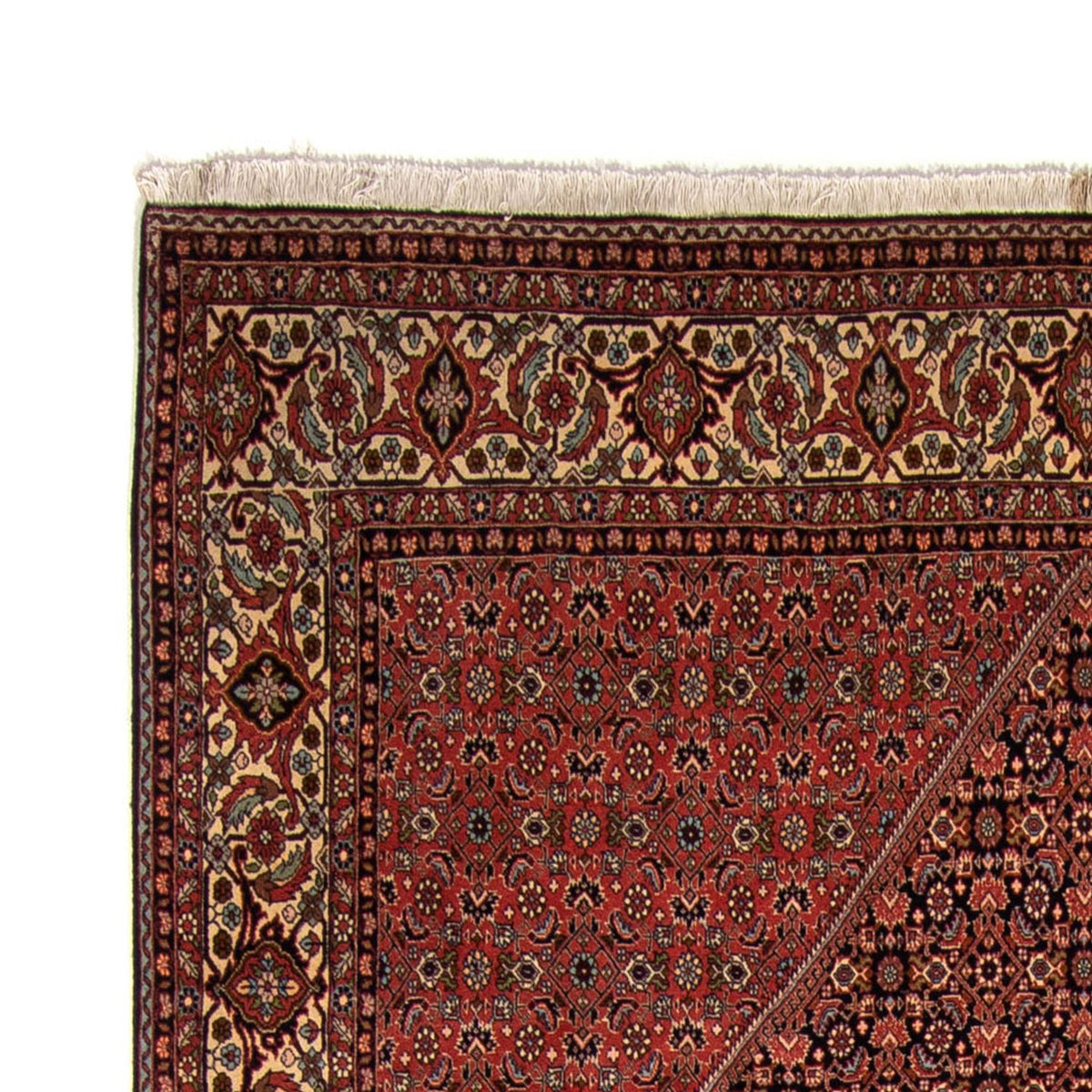 Bidjar Rug 249x350cm - Persian Rugs