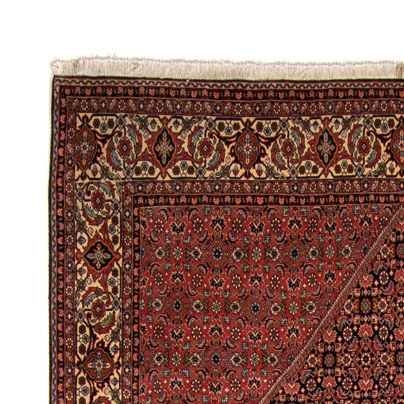Bidjar Rug 249x350cm - Persian Rugs