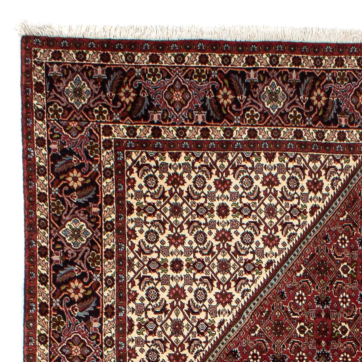 Bidjar Rug 199x298cm - Persian Rugs