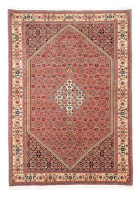 Perser Rug - Bidjar - 252 x 173 cm - light red