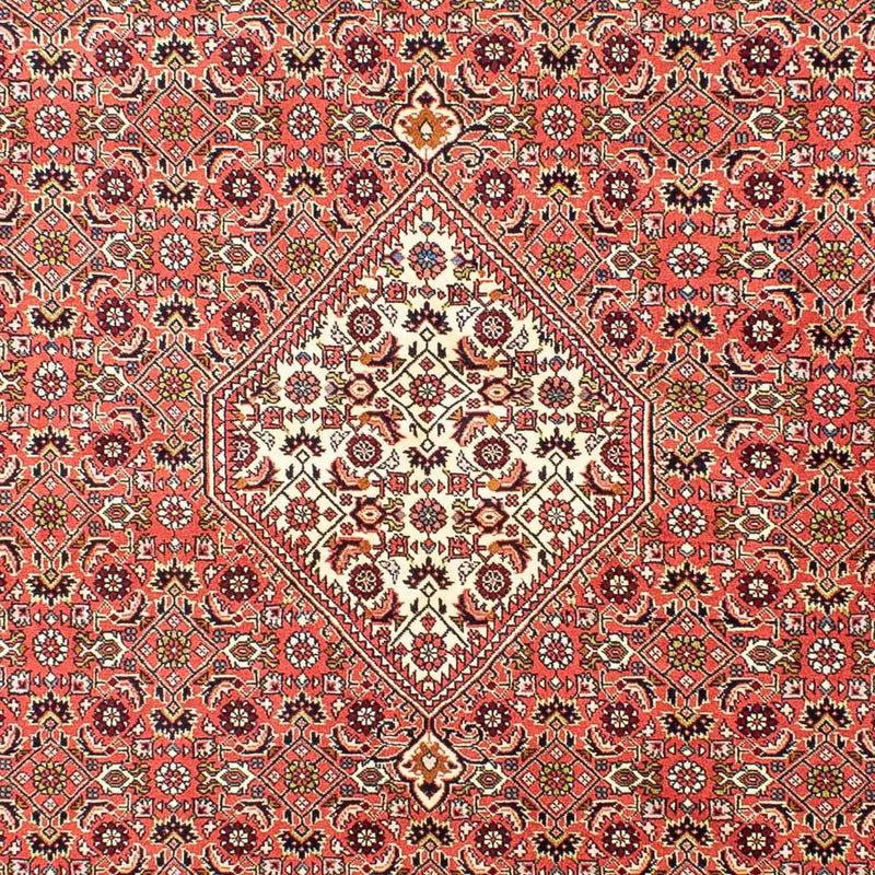 Perser Rug - Bidjar - 252 x 173 cm - light red