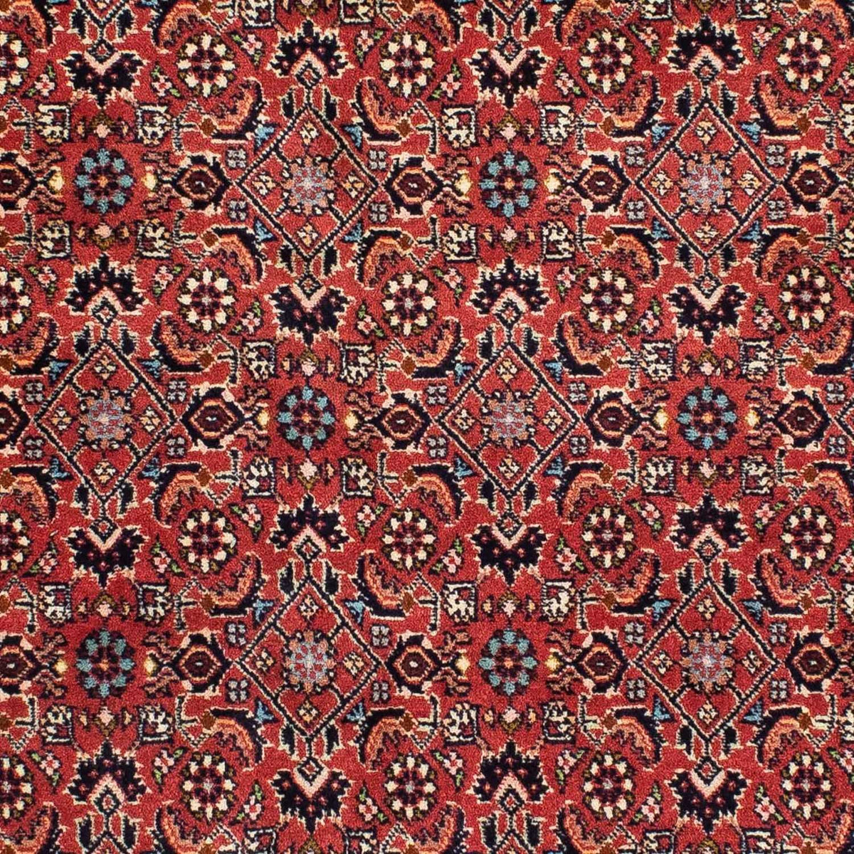 Perser Rug - Bidjar - 199 x 139 cm - red