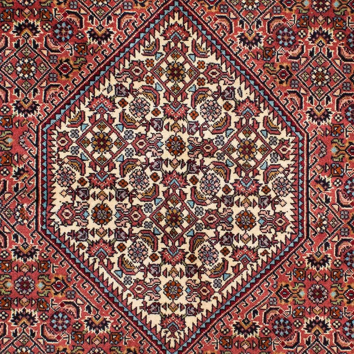 Perser Rug - Bidjar - 220 x 135 cm - red