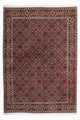 Bidjar - Zanjan Rug 205x141cm - Persian Rugs