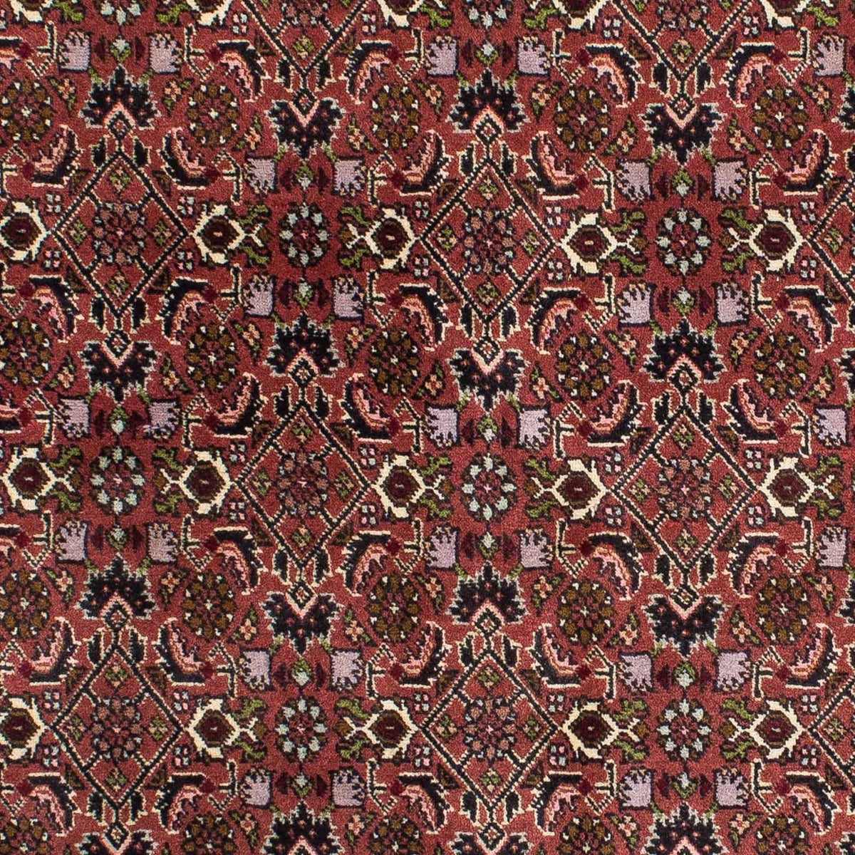 Perser Rug - Bidjar - 208 x 139 cm - red