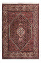 Bidjar - Zanjan Rug 206x136cm - Persian Rugs