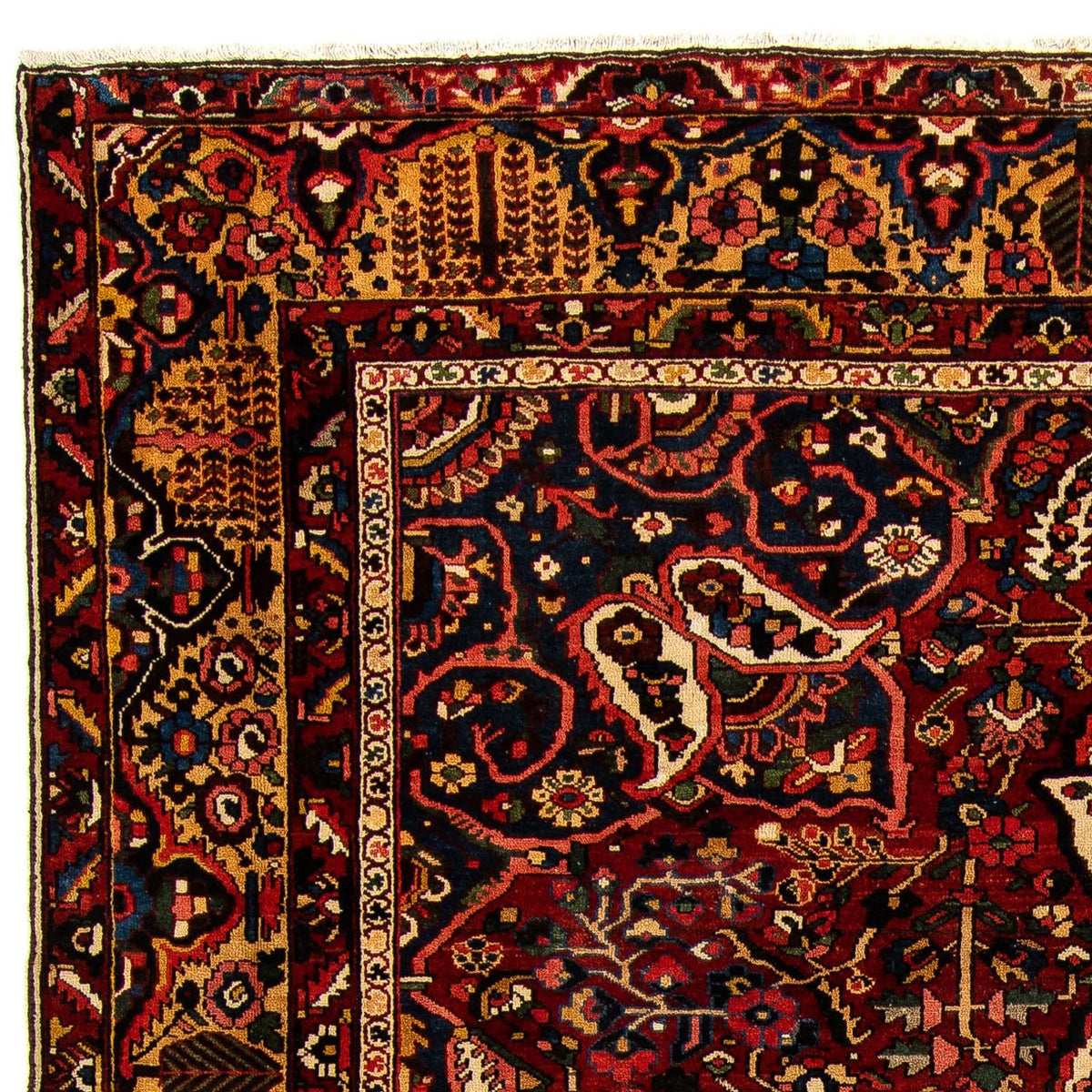 Bakhtiari Rug 333x408cm - Persian Rugs