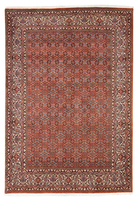Perser Rug - Bidjar - 237 x 168 cm - light red