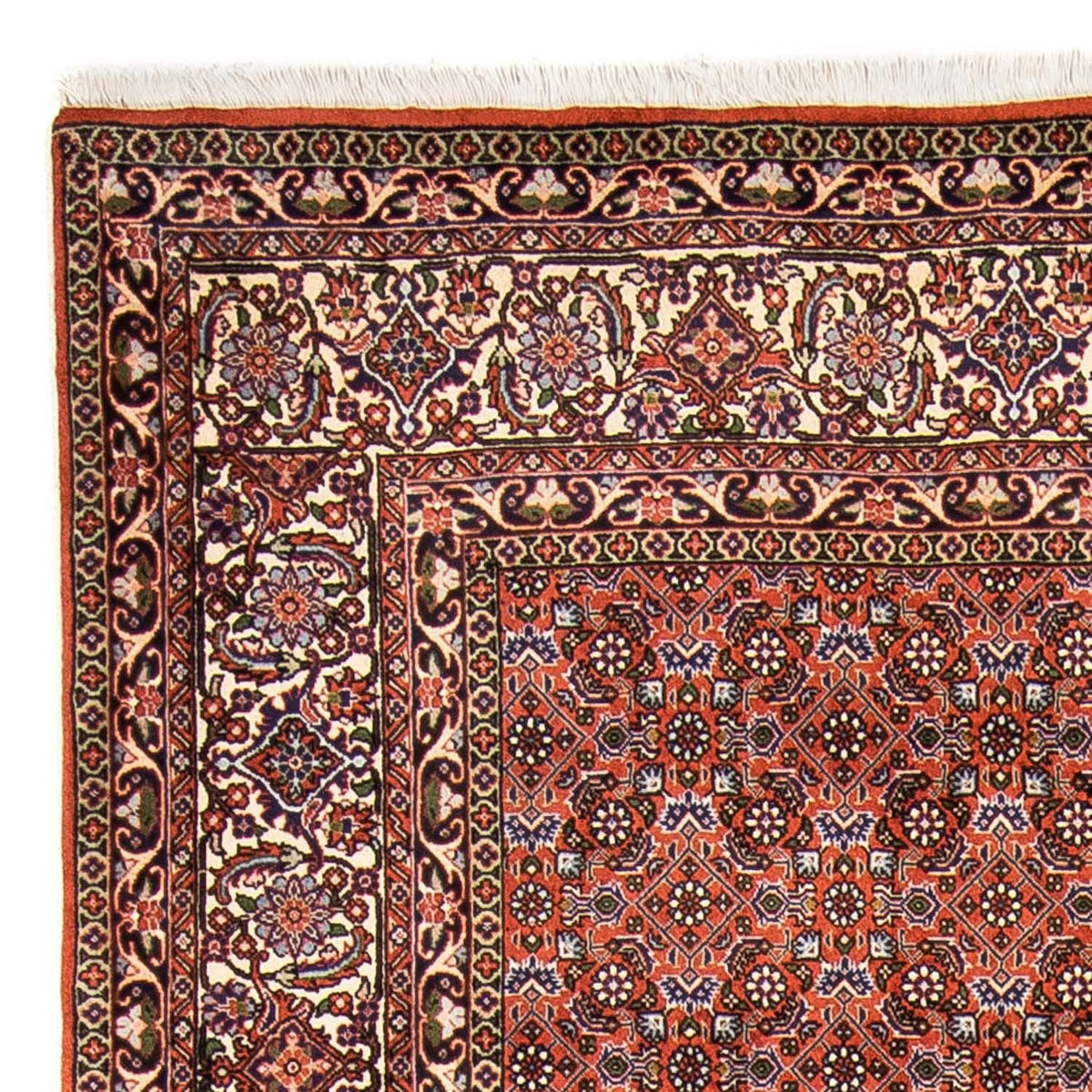 Perser Rug - Bidjar - 237 x 168 cm - light red