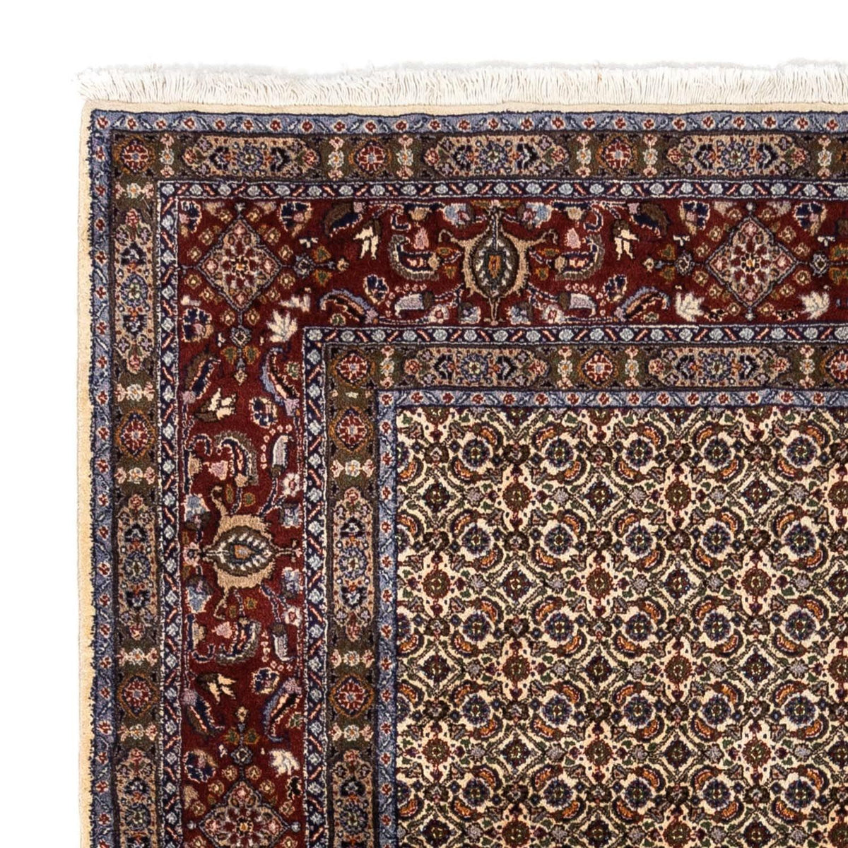 Moud Rug 168x237cm - Persian Rugs