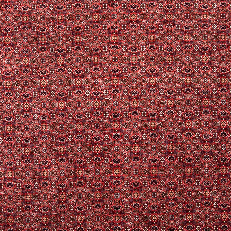 Perser Rug - Bidjar - 296 x 250 cm - dark red