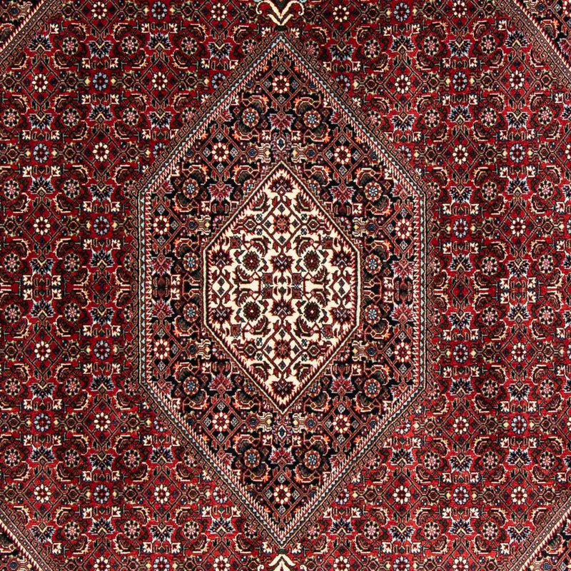 Bidjar Rug 170x235cm - Persian Rugs