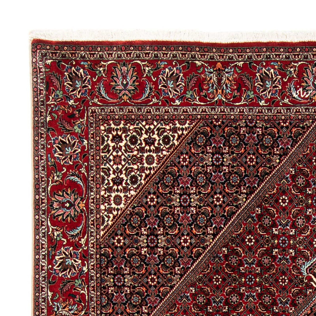 Bidjar Rug 170x235cm - Persian Rugs