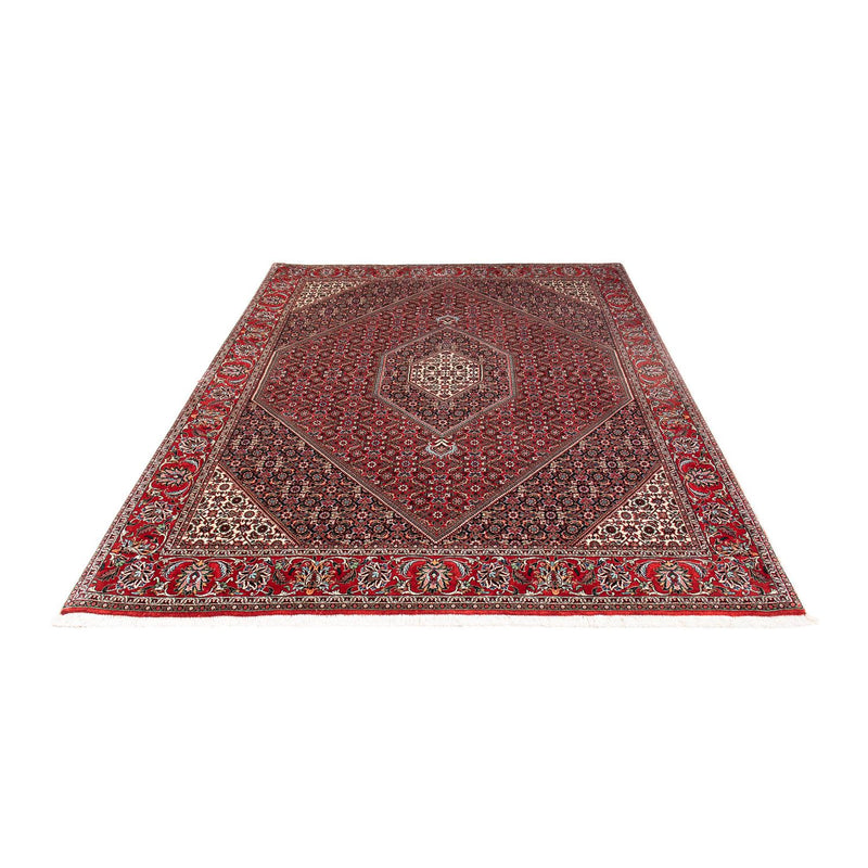 Bidjar Rug 170x235cm - Persian Rugs