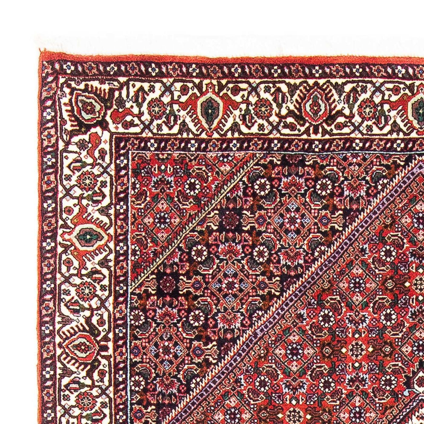 Bidjar Rug 180x112cm - Persian Rugs
