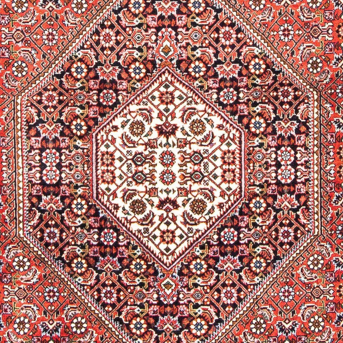 Perser Rug - Bidjar - 183 x 110 cm - red