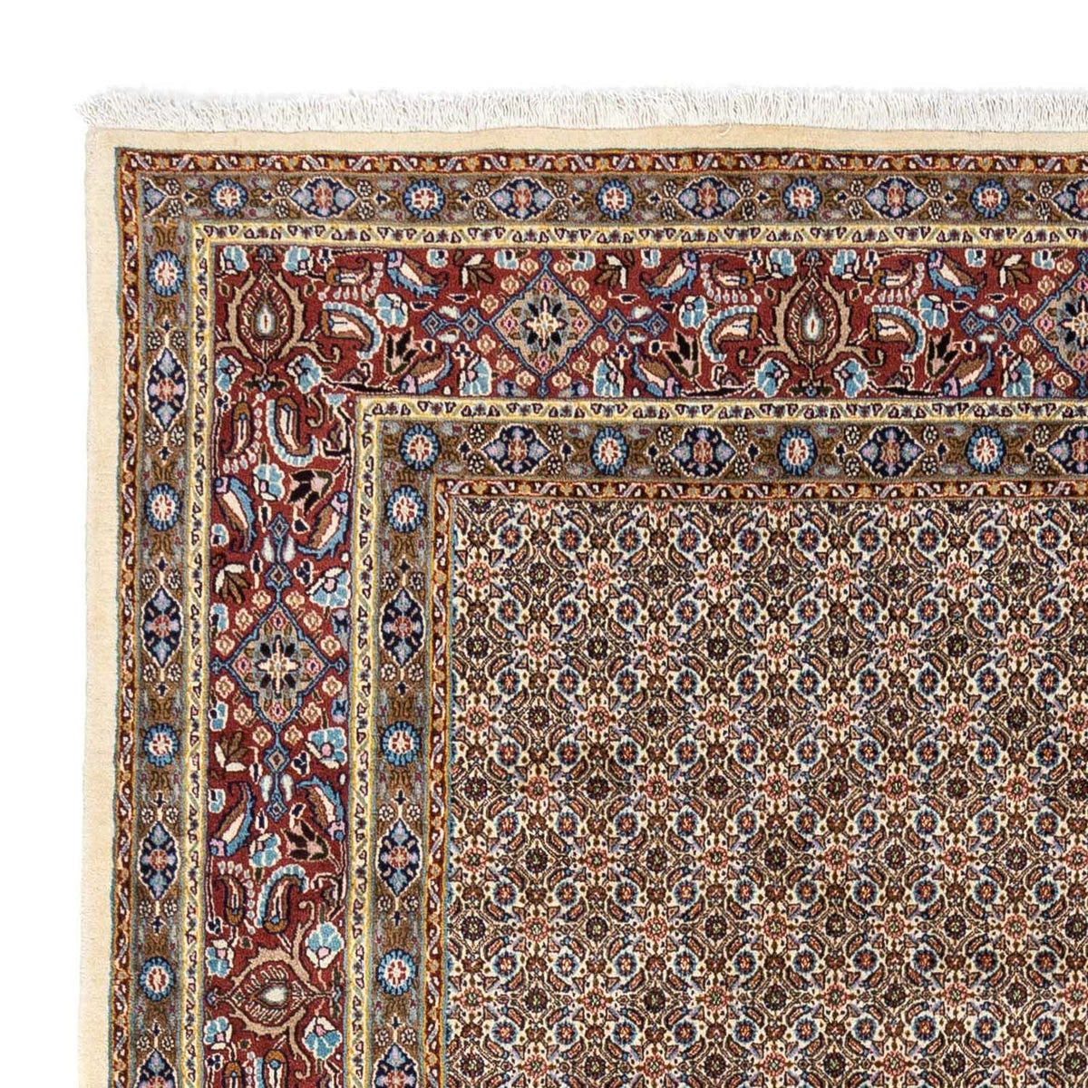 Moud Rug 245x348cm - Persian Rugs