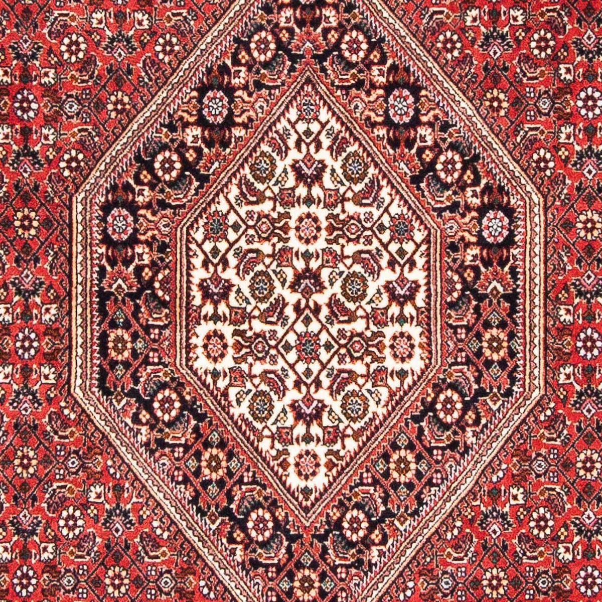 Perser Rug - Bidjar - 181 x 110 cm - red