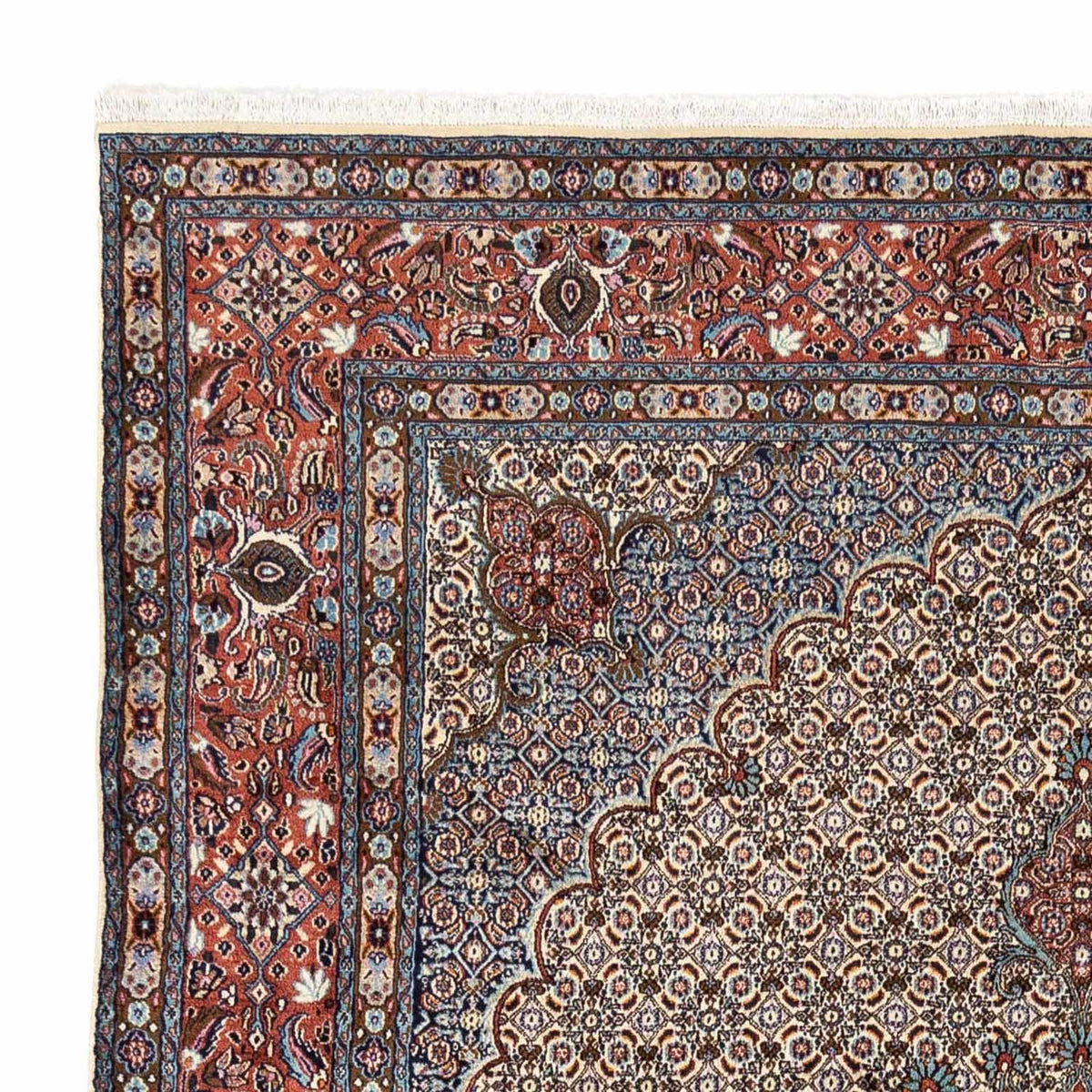 Moud Rug 252x340cm - Persian Rugs