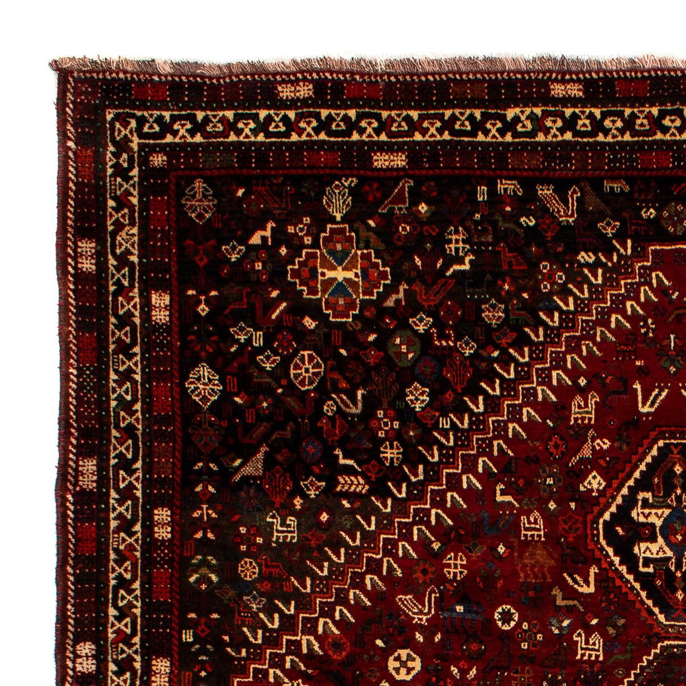 Shiraz Rug 310x228cm - Persian Rugs