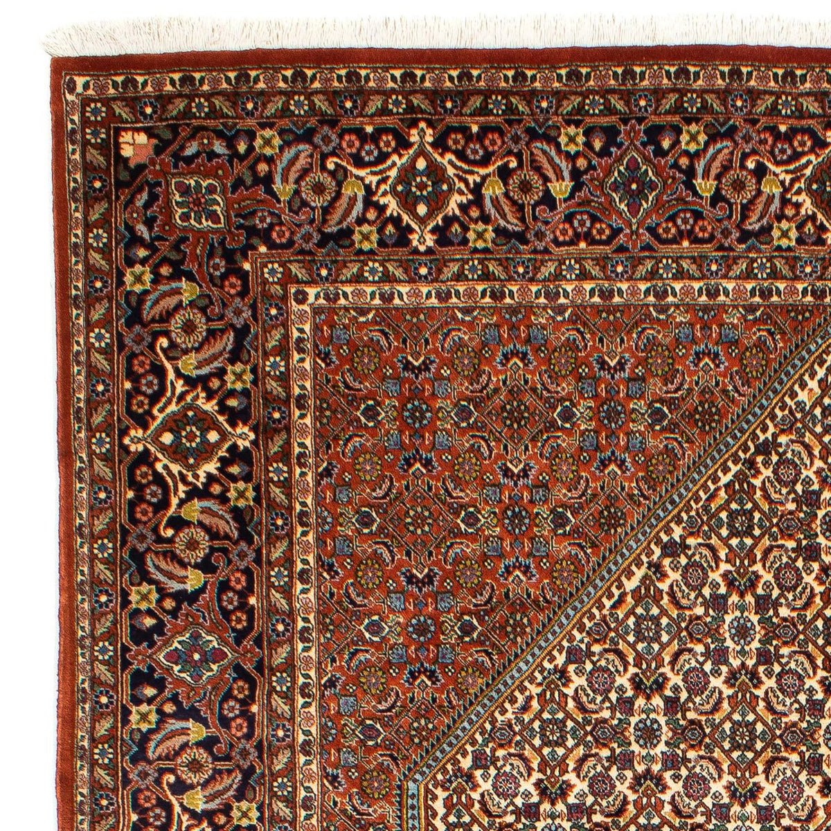 Bidjar Rug 202x297cm - Persian Rugs